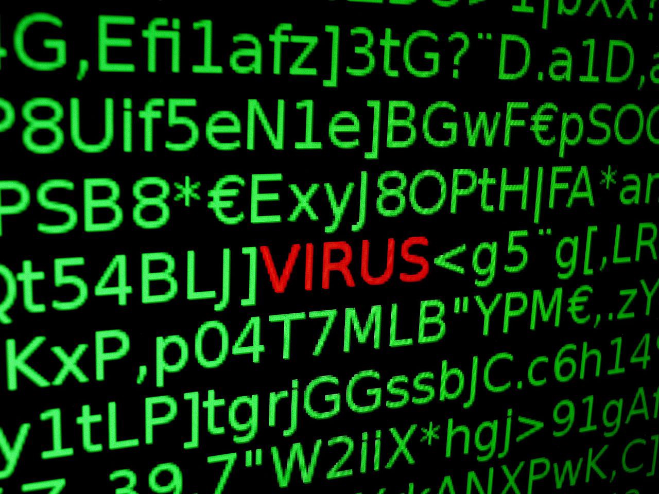 Damages Caused by Malware